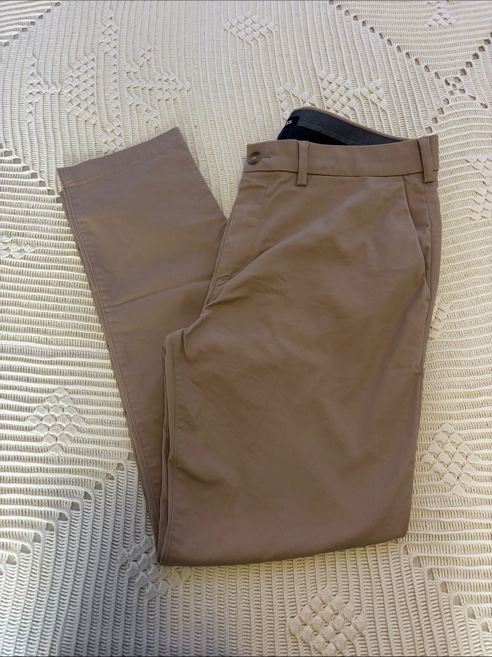 Express Men's Chino Pants in Taupe Brown